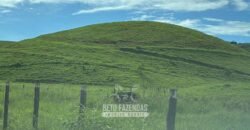 Venda de Fazenda 30 Alqueires Infraestrutura Completa na Pecuária | Sta. Maria Madalena /RJ