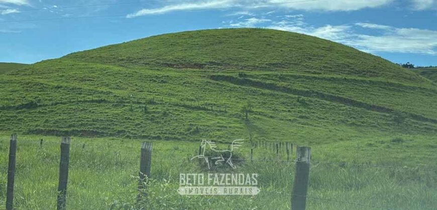 Venda de Fazenda 30 Alqueires Infraestrutura Completa na Pecuária | Sta. Maria Madalena /RJ