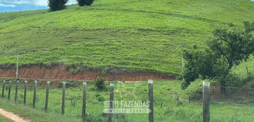 Venda de Fazenda 30 Alqueires Infraestrutura Completa na Pecuária | Sta. Maria Madalena /RJ