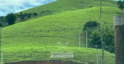 Venda de Fazenda 30 Alqueires Infraestrutura Completa na Pecuária | Sta. Maria Madalena /RJ