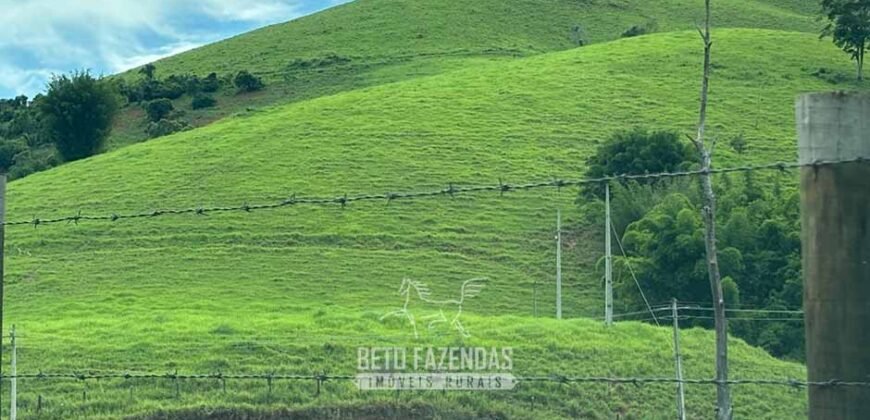 Venda de Fazenda 30 Alqueires Infraestrutura Completa na Pecuária | Sta. Maria Madalena /RJ