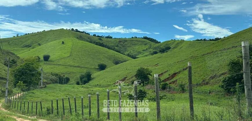 Venda de Fazenda 30 Alqueires Infraestrutura Completa na Pecuária | Sta. Maria Madalena /RJ