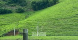 Venda de Fazenda 30 Alqueires Infraestrutura Completa na Pecuária | Sta. Maria Madalena /RJ