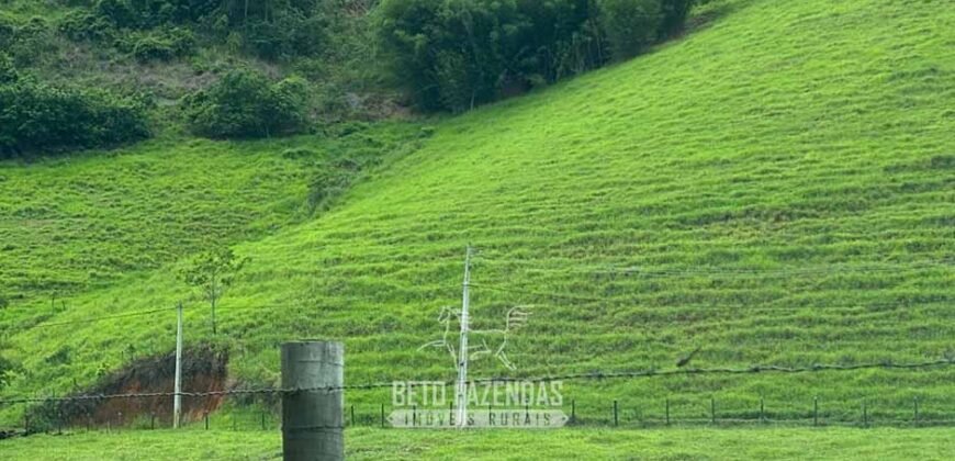 Venda de Fazenda 30 Alqueires Infraestrutura Completa na Pecuária | Sta. Maria Madalena /RJ
