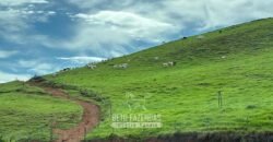 Venda de Fazenda 30 Alqueires Infraestrutura Completa na Pecuária | Sta. Maria Madalena /RJ
