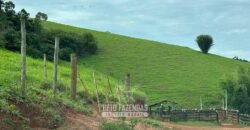 Venda de Fazenda 30 Alqueires Infraestrutura Completa na Pecuária | Sta. Maria Madalena /RJ