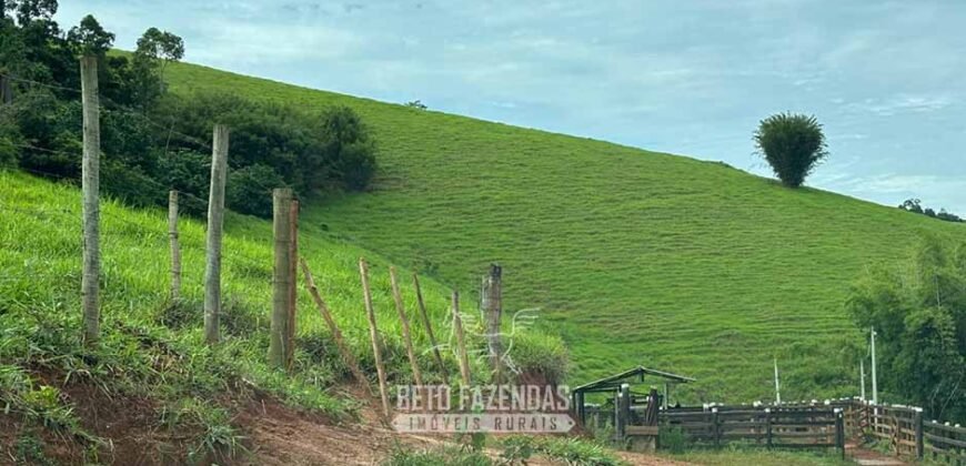 Venda de Fazenda 30 Alqueires Infraestrutura Completa na Pecuária | Sta. Maria Madalena /RJ