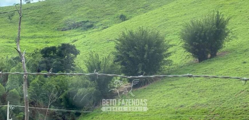 Venda de Fazenda 30 Alqueires Infraestrutura Completa na Pecuária | Sta. Maria Madalena /RJ