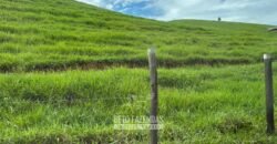 Venda de Fazenda 30 Alqueires Infraestrutura Completa na Pecuária | Sta. Maria Madalena /RJ