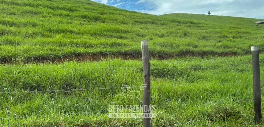 Venda de Fazenda 30 Alqueires Infraestrutura Completa na Pecuária | Sta. Maria Madalena /RJ