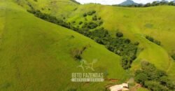 Venda de Fazenda 30 Alqueires Infraestrutura Completa na Pecuária | Sta. Maria Madalena /RJ