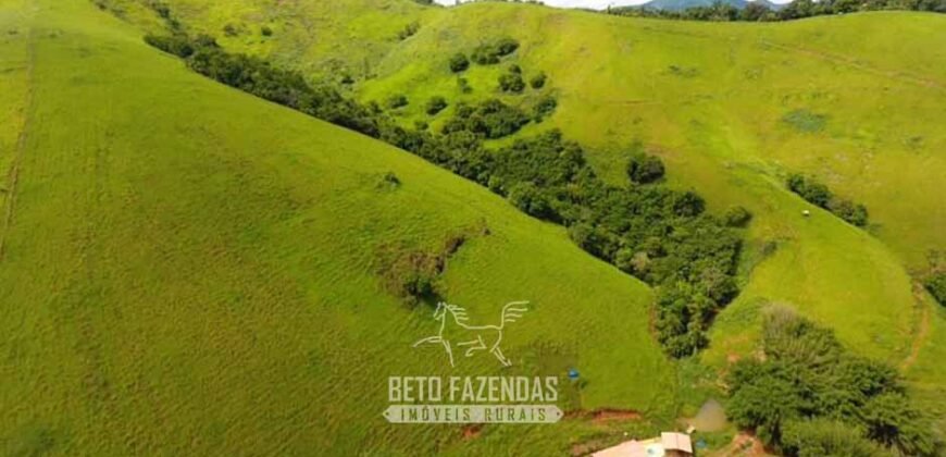 Venda de Fazenda 30 Alqueires Infraestrutura Completa na Pecuária | Sta. Maria Madalena /RJ