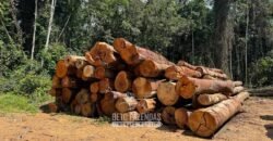 Fazenda à Venda 23.000 hectares Lavoura, Pecuária e Credito de Carbono | Paragominas/PA