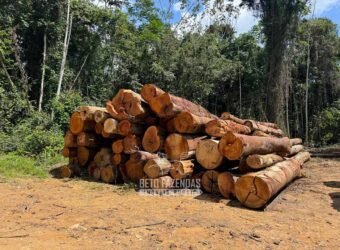 Fazenda à Venda 23.000 hectares Lavoura, Pecuária e Credito de Carbono | Paragominas/PA