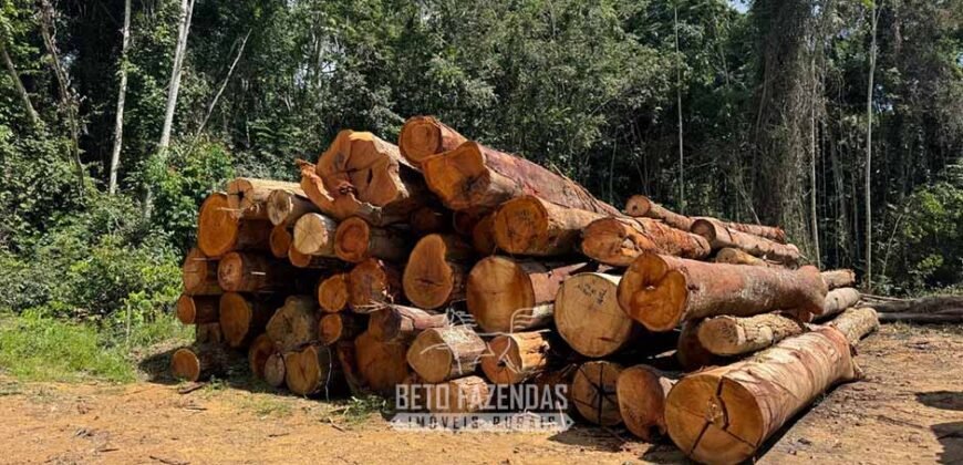 Fazenda à Venda 23.000 hectares Lavoura, Pecuária e Credito de Carbono | Paragominas/PA