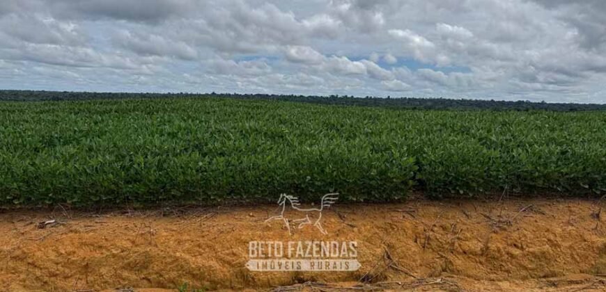 Fazenda à Venda 23.000 hectares Lavoura, Pecuária e Credito de Carbono | Paragominas/PA