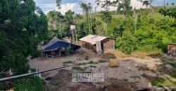 Fazenda Ótimo Valor à Venda Oportunidade com 1.500 hectares para Pecuária | Novo Progresso/PA Fazenda Ótimo Valor à Venda Oportunidade com 1.500 hectares para Pecuária | Novo Progresso/PA