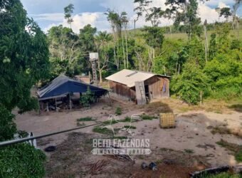 Fazenda Ótimo Valor à Venda Oportunidade com 1.500 hectares para Pecuária | Novo Progresso/PA
