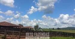 Fazenda à Venda 4 Mil Hectares Rica em Recursos Naturais e Pecuária | Manga/ MG