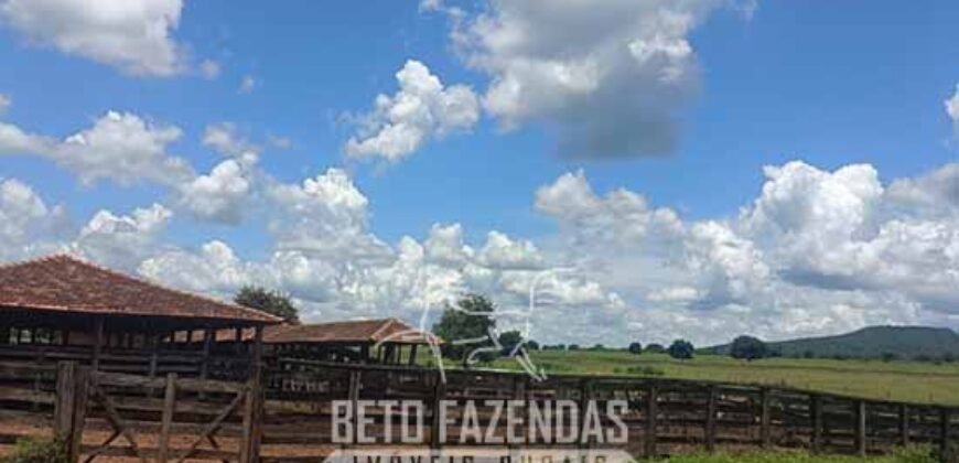 Fazenda à Venda 4 Mil Hectares Rica em Recursos Naturais e Pecuária | Manga/ MG