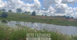 Fazenda à Venda 4 Mil Hectares Rica em Recursos Naturais e Pecuária | Manga/ MG