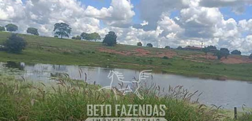 Fazenda à Venda 4 Mil Hectares Rica em Recursos Naturais e Pecuária | Manga/ MG