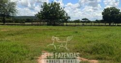 Fazenda à Venda 4 Mil Hectares Rica em Recursos Naturais e Pecuária | Manga/ MG