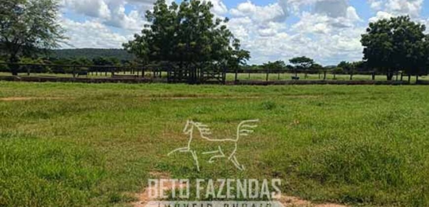 Fazenda à Venda 4 Mil Hectares Rica em Recursos Naturais e Pecuária | Manga/ MG