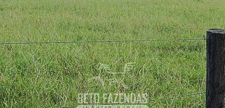 Fazenda à Venda 4 Mil Hectares Rica em Recursos Naturais e Pecuária | Manga/ MG