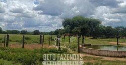 Fazenda à Venda 4 Mil Hectares Rica em Recursos Naturais e Pecuária | Manga/ MG