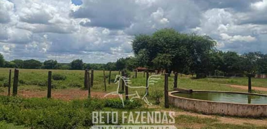 Fazenda à Venda 4 Mil Hectares Rica em Recursos Naturais e Pecuária | Manga/ MG