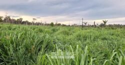 Fazenda à Venda 162 alqueires Pecuária Infraestrutura Completa | Pacajá/ PA Fazenda à Venda 162 alqueires Pecuária Infraestrutura Completa | Pacajá/ PA