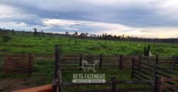 Fazenda à Venda 162 alqueires Pecuária Infraestrutura Completa | Pacajá/ PA Fazenda à Venda 162 alqueires Pecuária Infraestrutura Completa | Pacajá/ PA