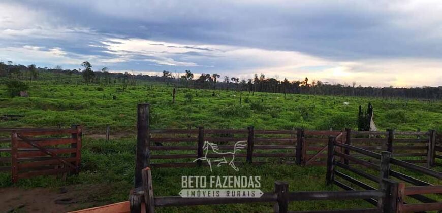 Fazenda à Venda 162 alqueires Pecuária Infraestrutura Completa | Pacajá/ PA Fazenda à Venda 162 alqueires Pecuária Infraestrutura Completa | Pacajá/ PA