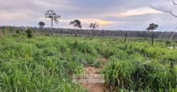 Fazenda à Venda 162 alqueires Pecuária Infraestrutura Completa | Pacajá/ PA Fazenda à Venda 162 alqueires Pecuária Infraestrutura Completa | Pacajá/ PA