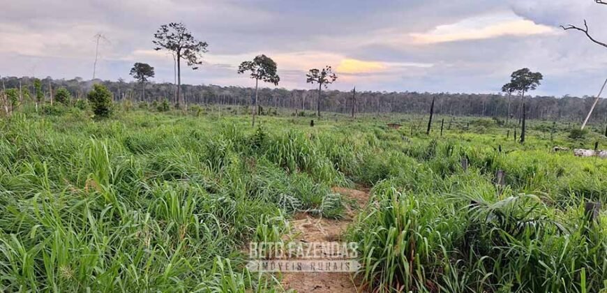 Fazenda à Venda 162 alqueires Pecuária Infraestrutura Completa | Pacajá/ PA Fazenda à Venda 162 alqueires Pecuária Infraestrutura Completa | Pacajá/ PA
