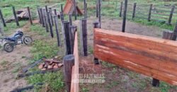 Fazenda à Venda 162 alqueires Pecuária Infraestrutura Completa | Pacajá/ PA Fazenda à Venda 162 alqueires Pecuária Infraestrutura Completa | Pacajá/ PA