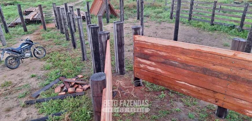Fazenda à Venda 162 alqueires Pecuária Infraestrutura Completa | Pacajá/ PA Fazenda à Venda 162 alqueires Pecuária Infraestrutura Completa | Pacajá/ PA