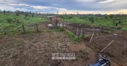 Fazenda à Venda 162 alqueires Pecuária Infraestrutura Completa | Pacajá/ PA Fazenda à Venda 162 alqueires Pecuária Infraestrutura Completa | Pacajá/ PA