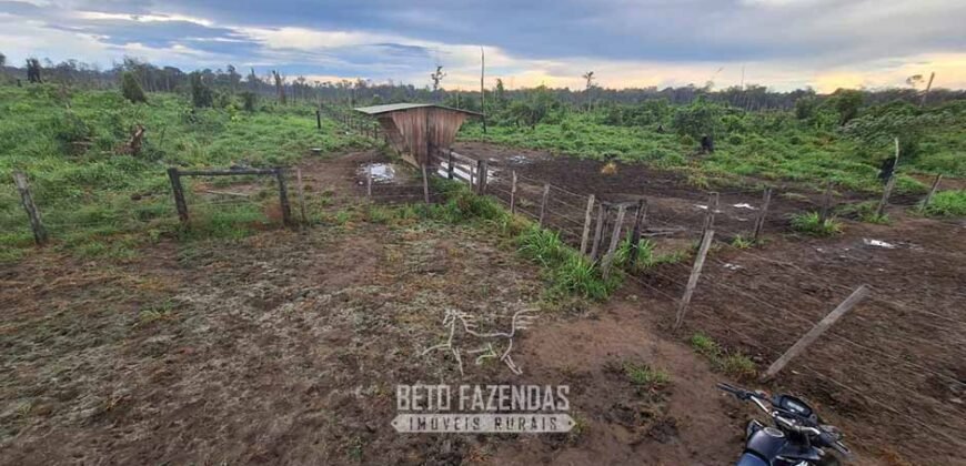 Fazenda à Venda 162 alqueires Pecuária Infraestrutura Completa | Pacajá/ PA Fazenda à Venda 162 alqueires Pecuária Infraestrutura Completa | Pacajá/ PA