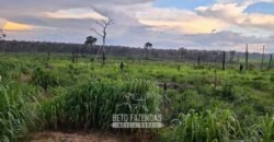 Fazenda à Venda 162 alqueires Pecuária Infraestrutura Completa | Pacajá/ PA Fazenda à Venda 162 alqueires Pecuária Infraestrutura Completa | Pacajá/ PA