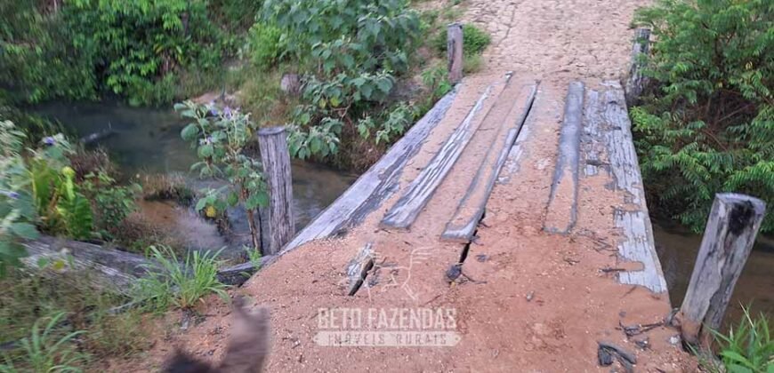Fazenda à Venda 162 alqueires Pecuária Infraestrutura Completa | Pacajá/ PA Fazenda à Venda 162 alqueires Pecuária Infraestrutura Completa | Pacajá/ PA