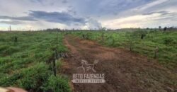 Fazenda à Venda 162 alqueires Pecuária Infraestrutura Completa | Pacajá/ PA Fazenda à Venda 162 alqueires Pecuária Infraestrutura Completa | Pacajá/ PA