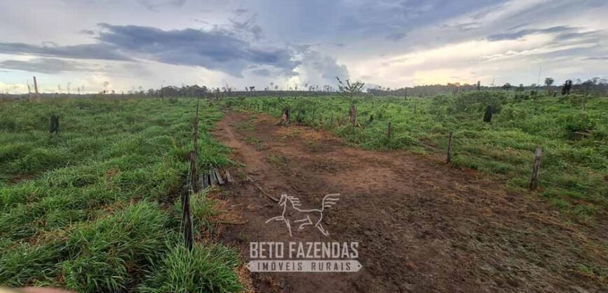 Fazenda à Venda 162 alqueires Pecuária Infraestrutura Completa | Pacajá/ PA Fazenda à Venda 162 alqueires Pecuária Infraestrutura Completa | Pacajá/ PA