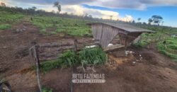 Fazenda à Venda 162 alqueires Pecuária Infraestrutura Completa | Pacajá/ PA Fazenda à Venda 162 alqueires Pecuária Infraestrutura Completa | Pacajá/ PA