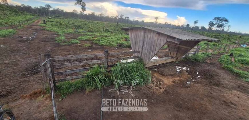 Fazenda à Venda 162 alqueires Pecuária Infraestrutura Completa | Pacajá/ PA Fazenda à Venda 162 alqueires Pecuária Infraestrutura Completa | Pacajá/ PA