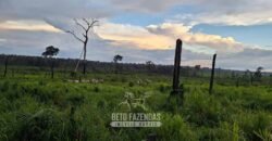 Fazenda à Venda 162 alqueires Pecuária Infraestrutura Completa | Pacajá/ PA Fazenda à Venda 162 alqueires Pecuária Infraestrutura Completa | Pacajá/ PA