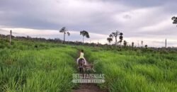 Fazenda à Venda 162 alqueires Pecuária Infraestrutura Completa | Pacajá/ PA Fazenda à Venda 162 alqueires Pecuária Infraestrutura Completa | Pacajá/ PA