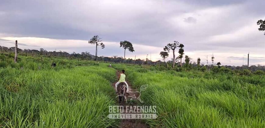 Fazenda à Venda 162 alqueires Pecuária Infraestrutura Completa | Pacajá/ PA Fazenda à Venda 162 alqueires Pecuária Infraestrutura Completa | Pacajá/ PA
