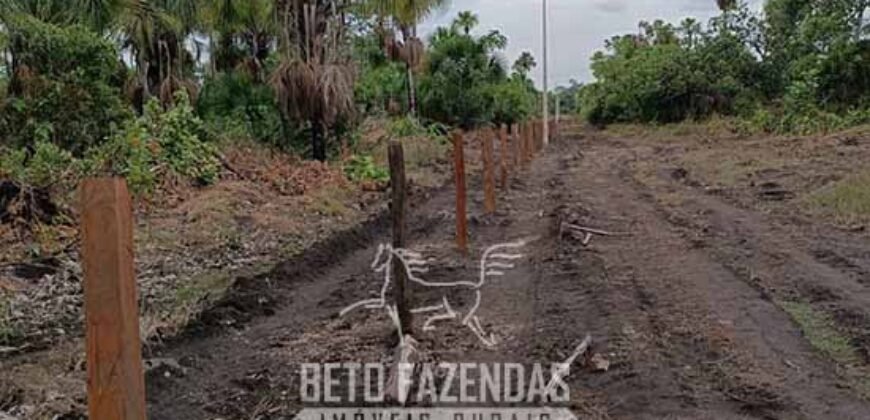 Fazensa à Venda 1.500 A lqueirões Soja e Logística c/ Dupla Aptidão | Região do Xingú / PA Fazensa à Venda 1.500 A lqueirões Soja e Logística c/ Dupla Aptidão | Região do Xingú / PA